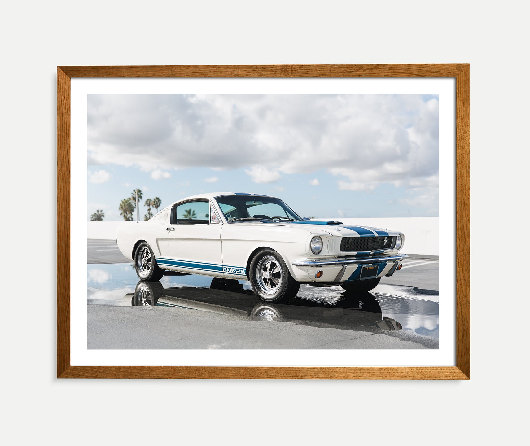 ford mustang, shelby, gt350, print, wall art