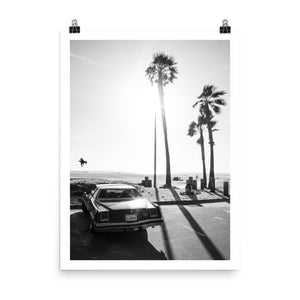 california, palm trees, vintage car