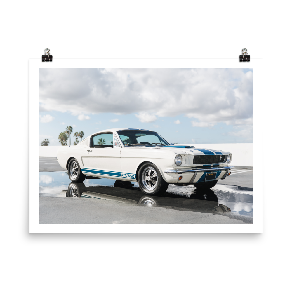 ford mustang, shelby, gt350, print, wall art